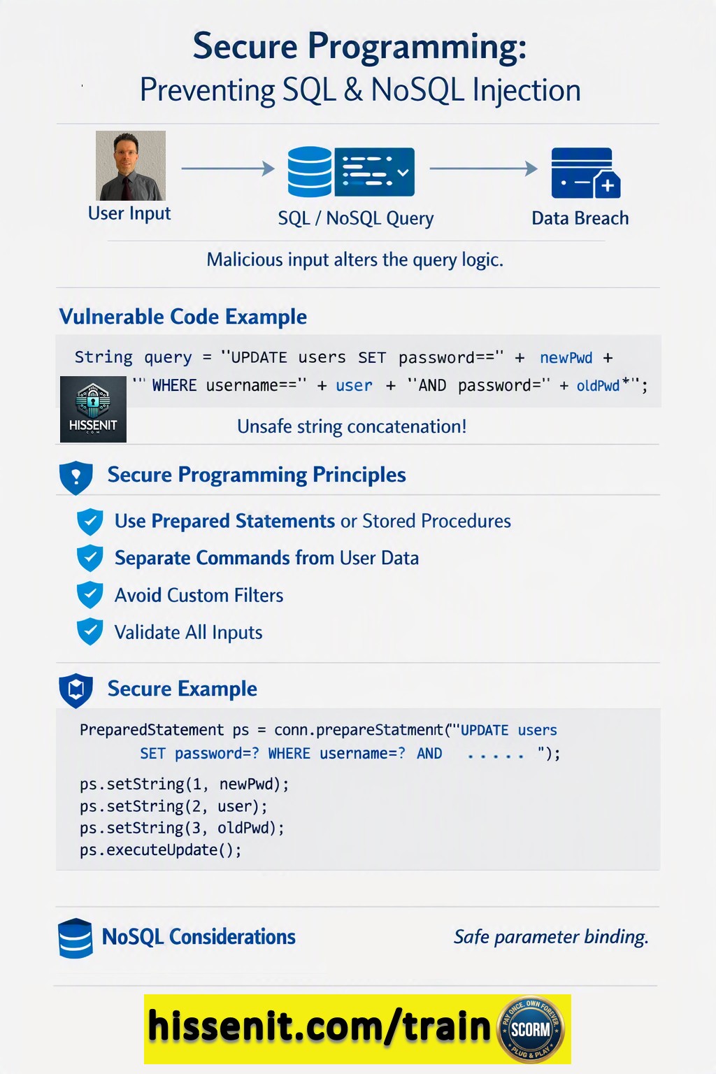 Secure Code Training - SQL Injection Mitigation Poster